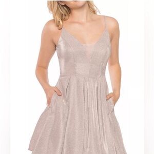 NWOT $90 Sparkling Silver Dress